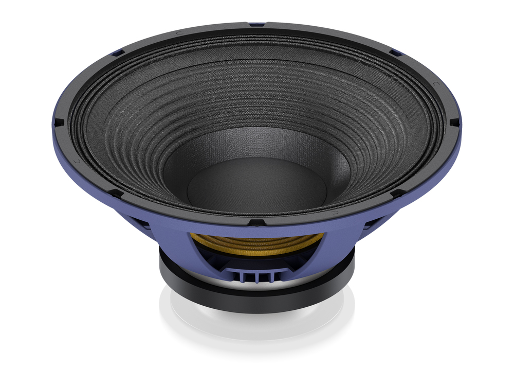 speaker pa 18 inch