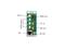 MiniDL-3 1 MODULAR Cascadable 4 input Multiviewer/3-HDMI/1-HDMI by Apantac