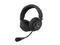 HP2A Dual-Ear Headset with Mic for the ITC-100 Belt Packs and Base Station by Datavideo