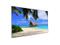 CST-SS8SAU-43 43 inch Samsung 8-Series Weatherloc 4K UHD Outdoor Smart TV by SEALOC